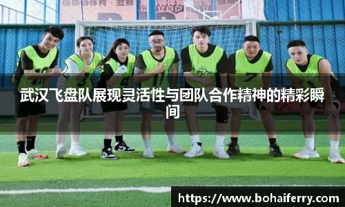 mk体育官网入口
