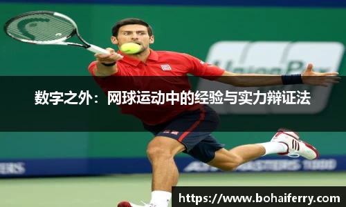 mk体育官网入口
