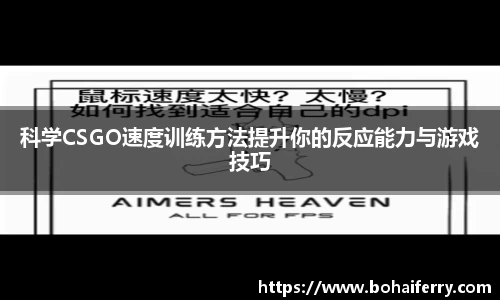 mk体育在线官网
