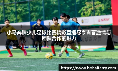 mk体育在线官网