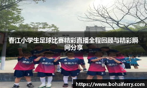 mk体育在线官网