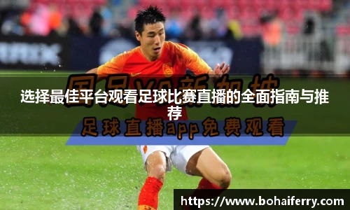 mk体育官网入口