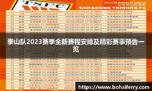 mk体育官网入口