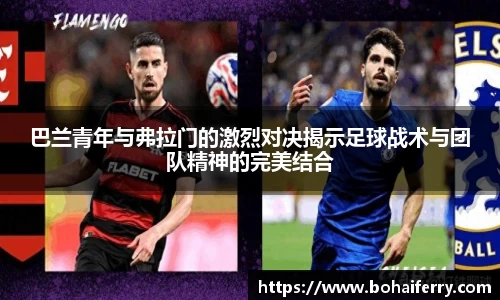 mk体育官网入口