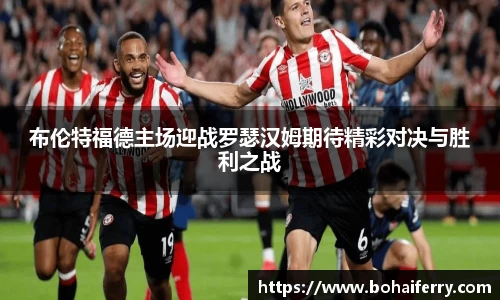 mk体育官网入口