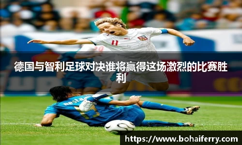 mk体育官网入口