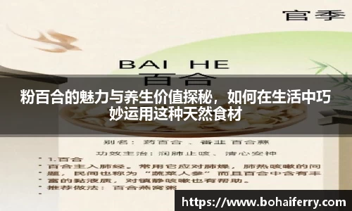 mk体育在线官网