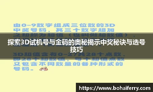 mk体育官网入口